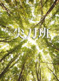 喜欢自由的友谊